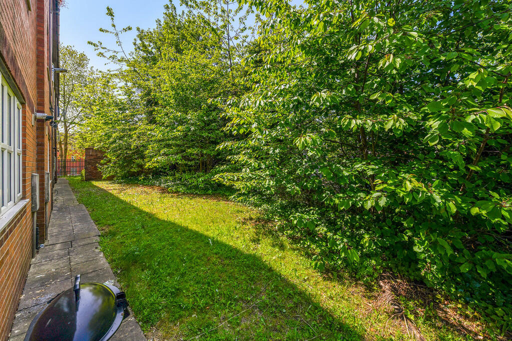 IMG_17197_22_larg...