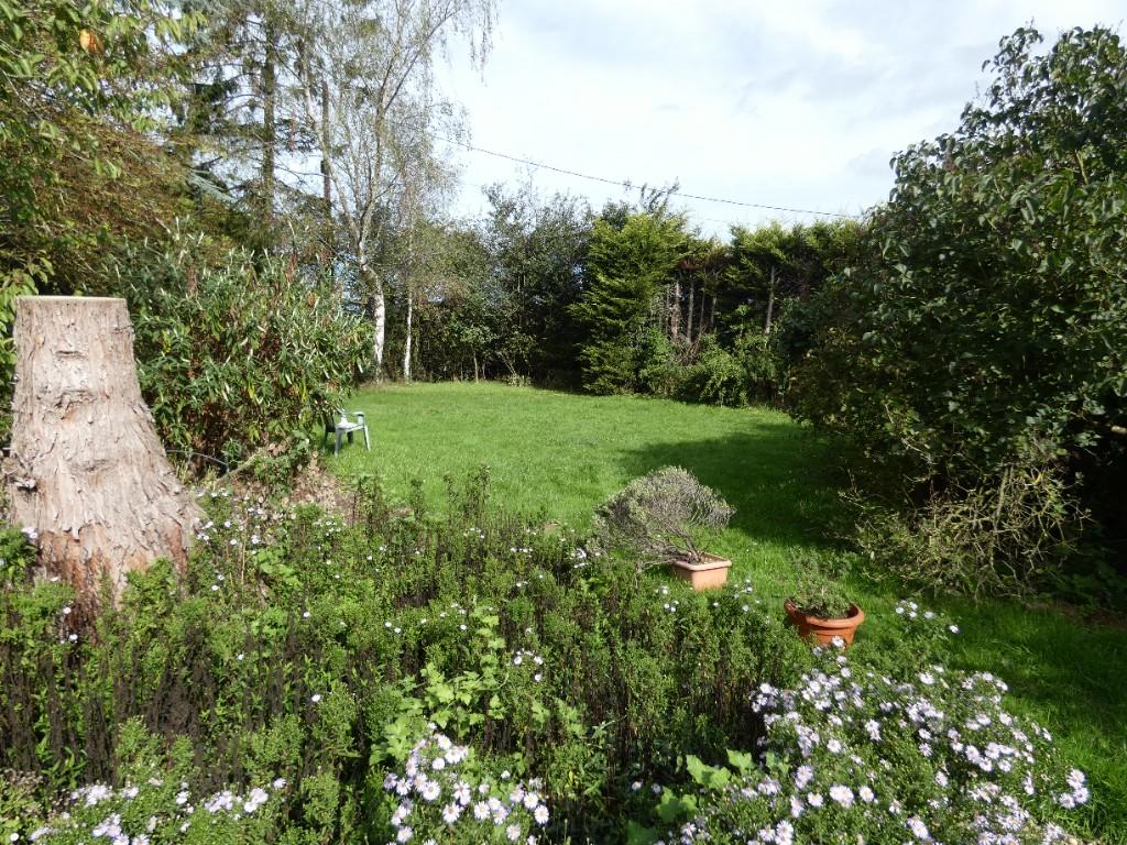 Side Garden 
