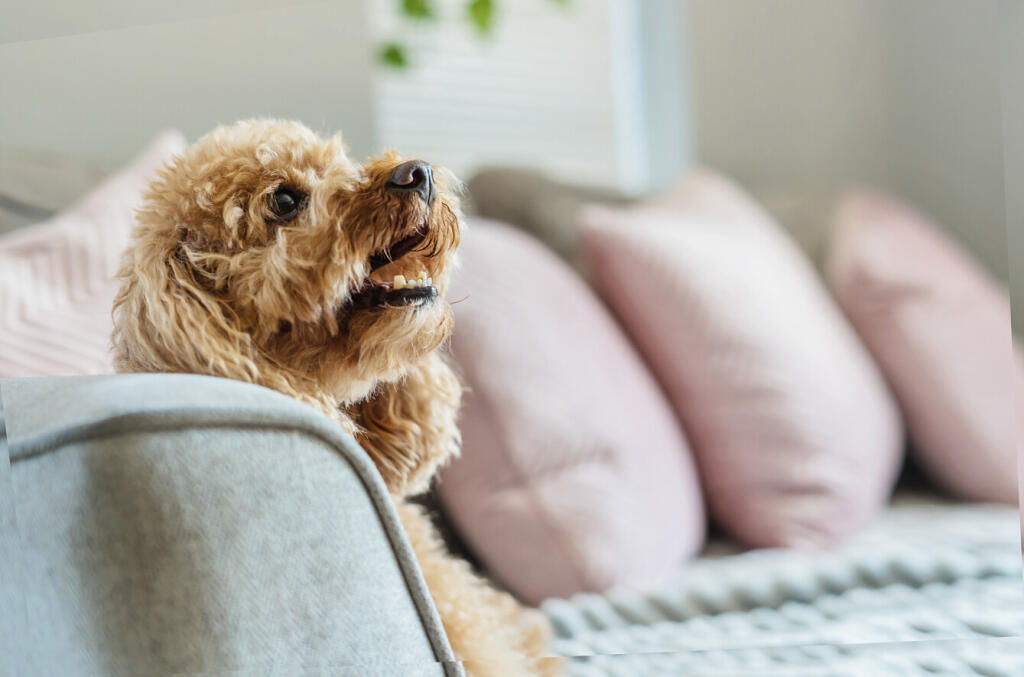 1333097-19-688ce7...