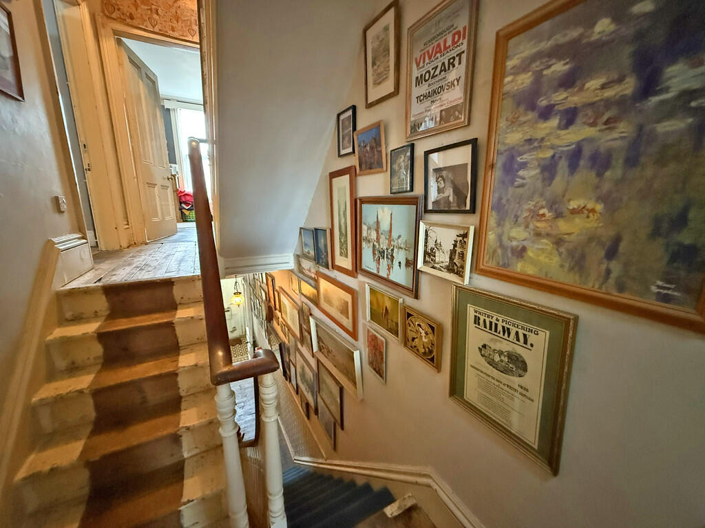 IMG_5254