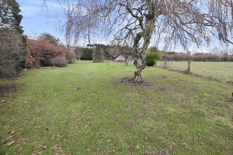 Large South Facing Rear Garden