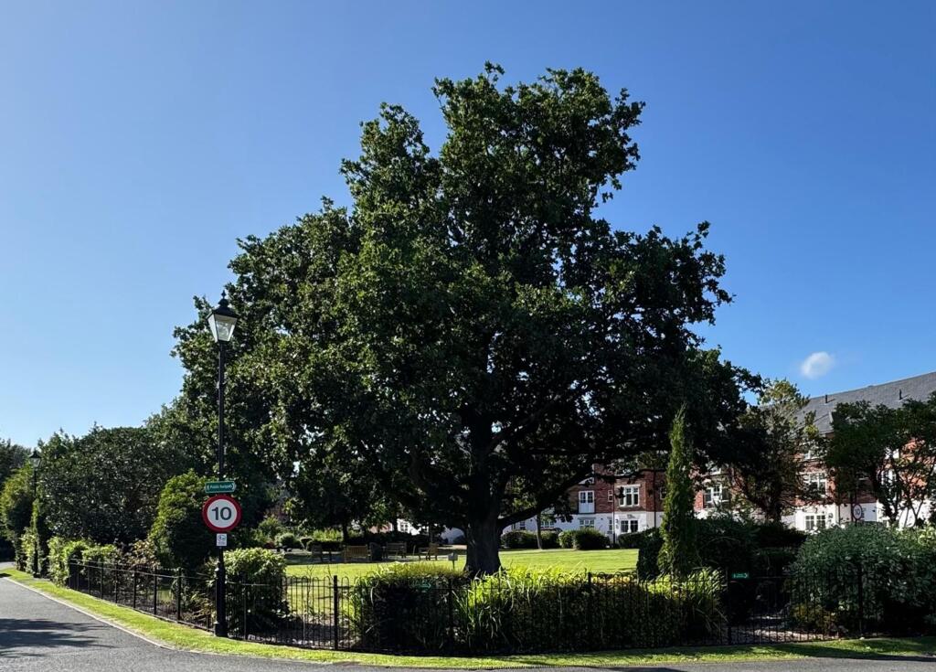 Communal Gardens