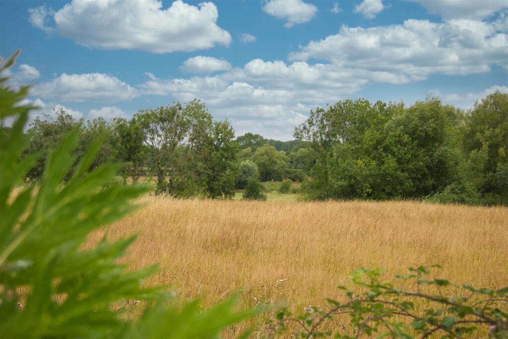 Countryside Views