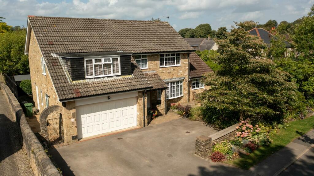 DJI_0168.jpg