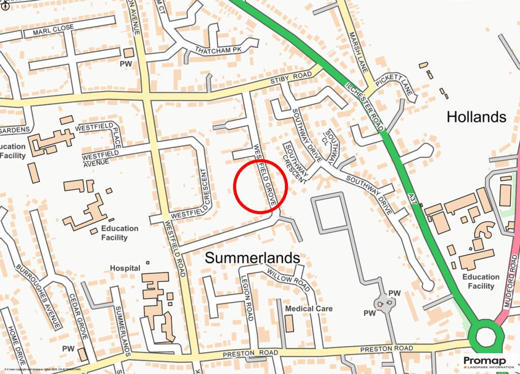 Promap-3252944-3349989-750400-1