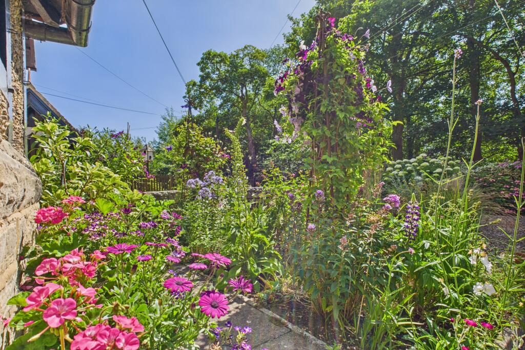 CAM04201G0-PR0098-STILL033