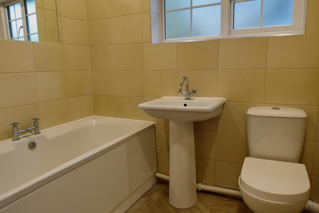 Image Oct 31, 2025, 05_03_43 PM.png