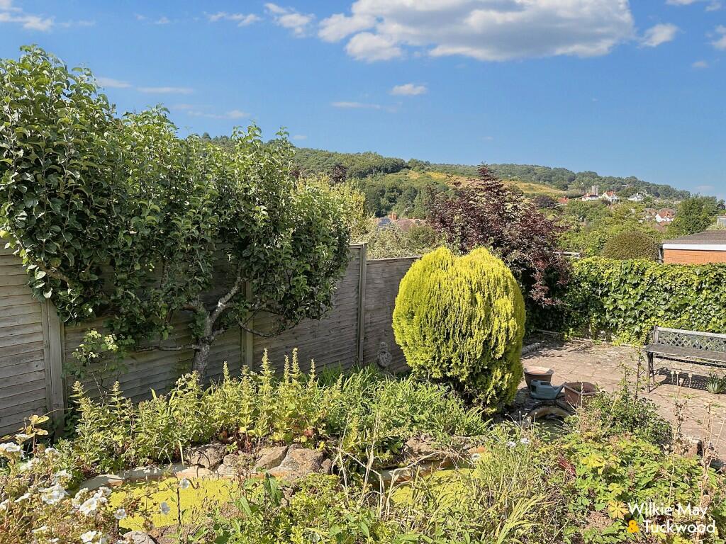 Garden and view
