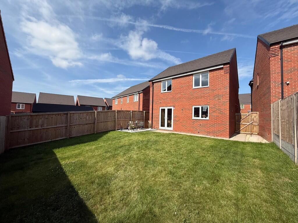 WhatsApp Image 20...