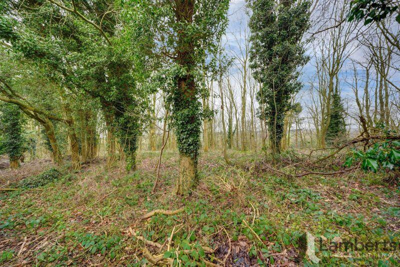 Woodland