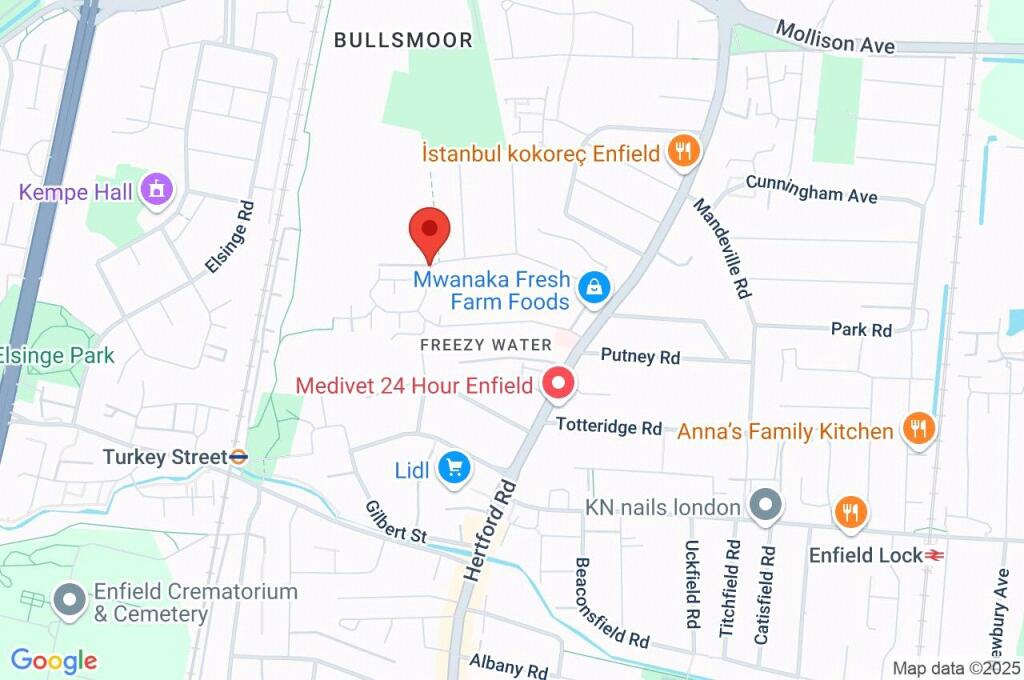Google Maps Image
