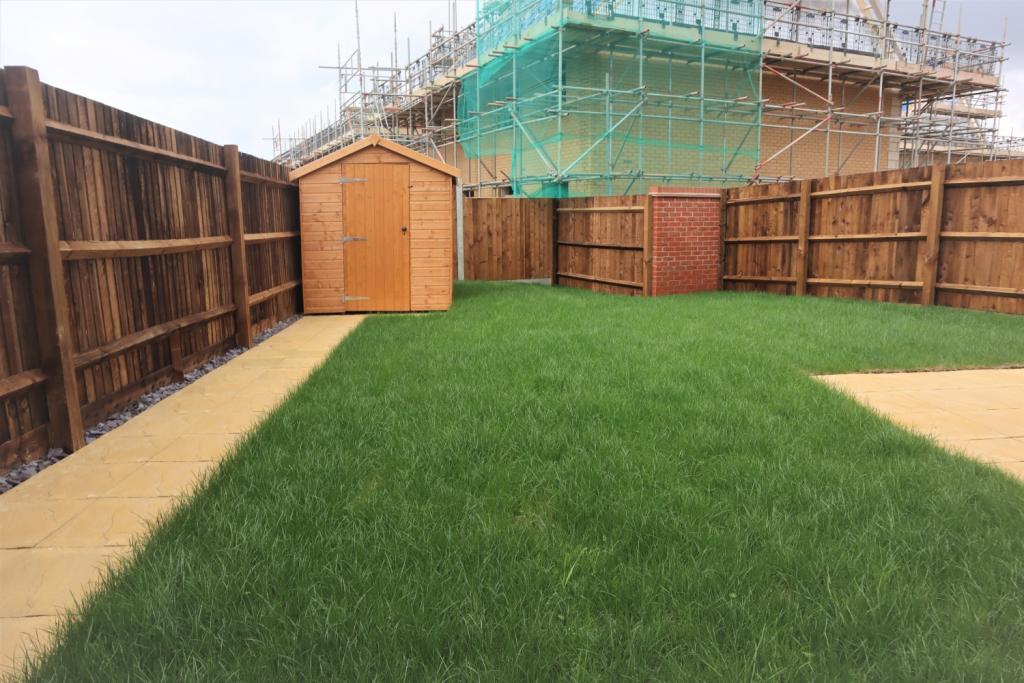 3 Beltex Rear Garden