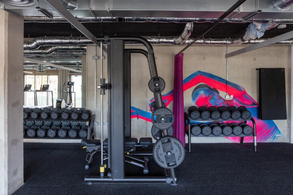 Gym