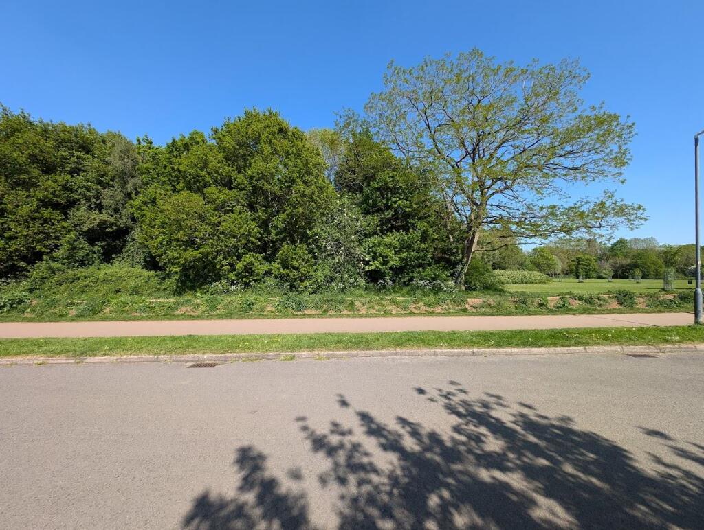 9 Templar front view.jpg