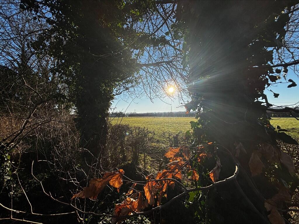 processed-875B00C...