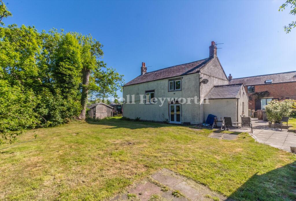 Rear T202511191527.jpg