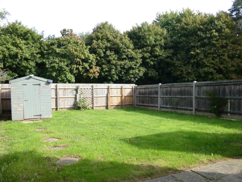 Pic 9 Garden 1.JPG