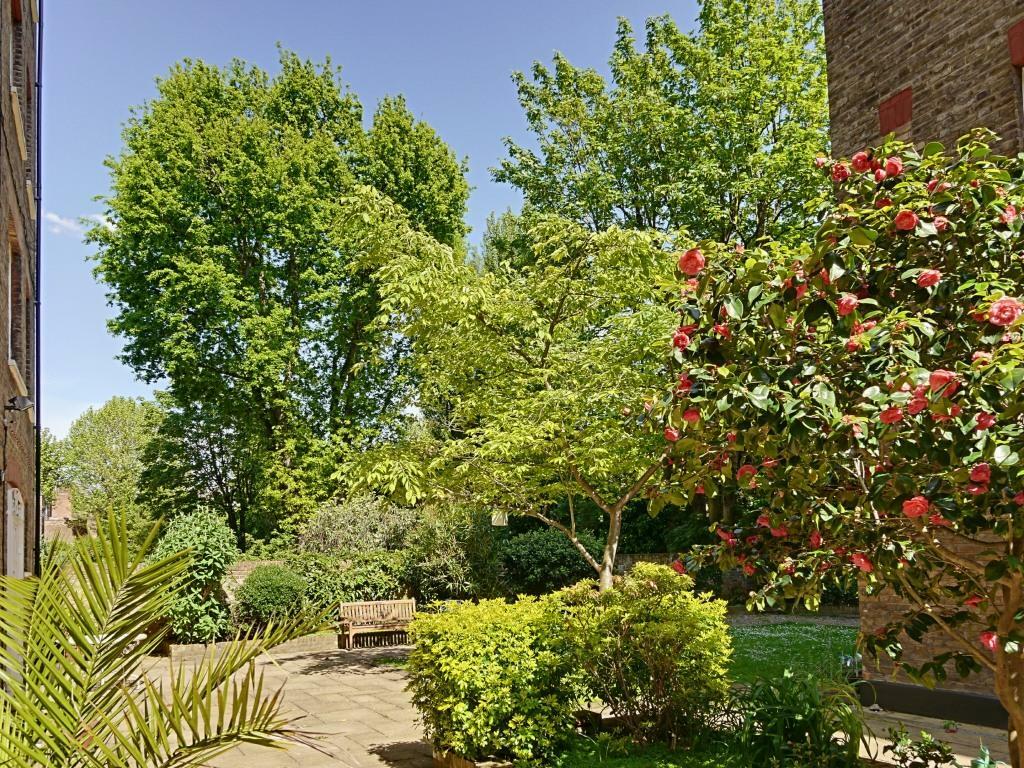 Communal Garden