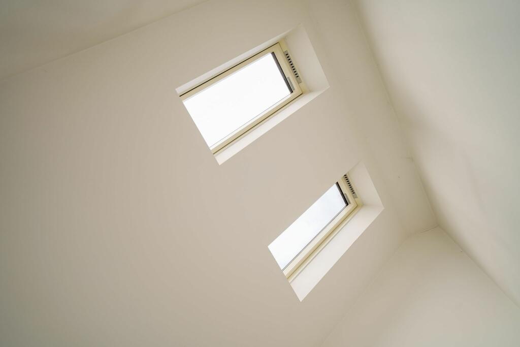 Photograph 54