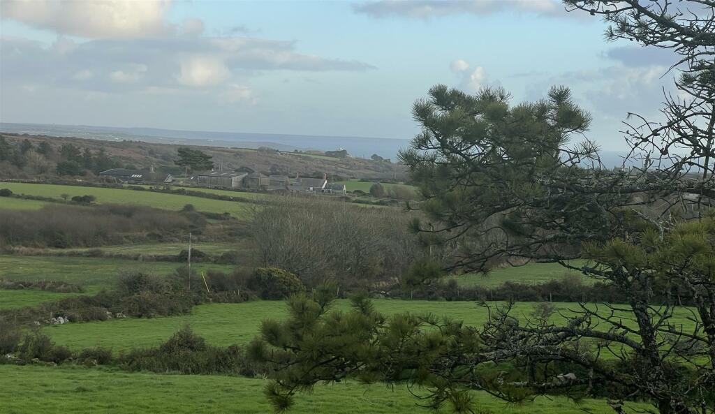 View from garden
