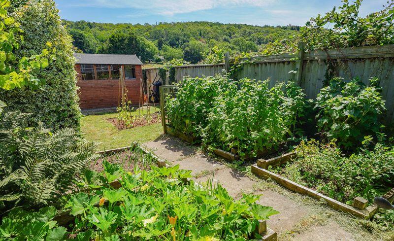 Vegetable garden