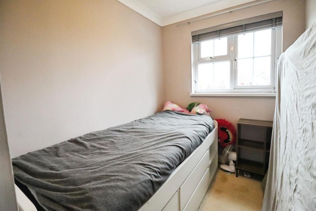 IMAGE 12