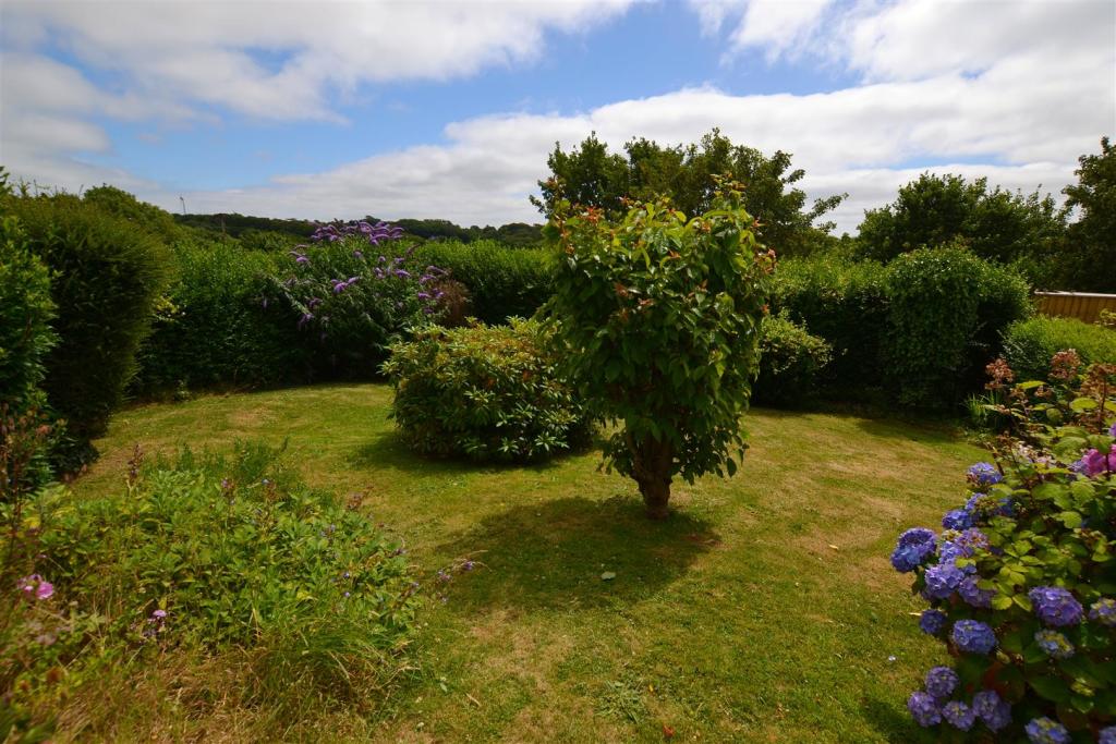 garden...JPG