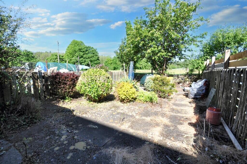 Back Garden