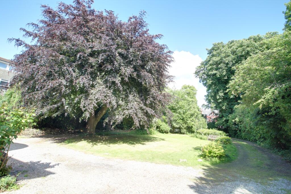The  shared front garden