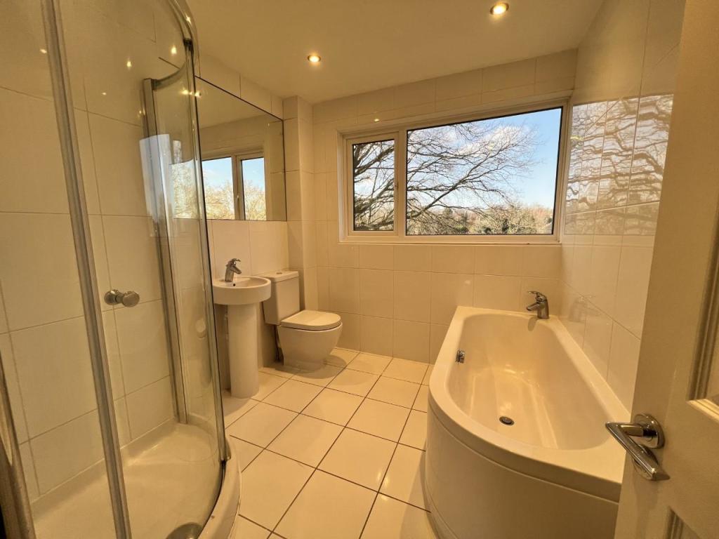 bathroom shower.jpg