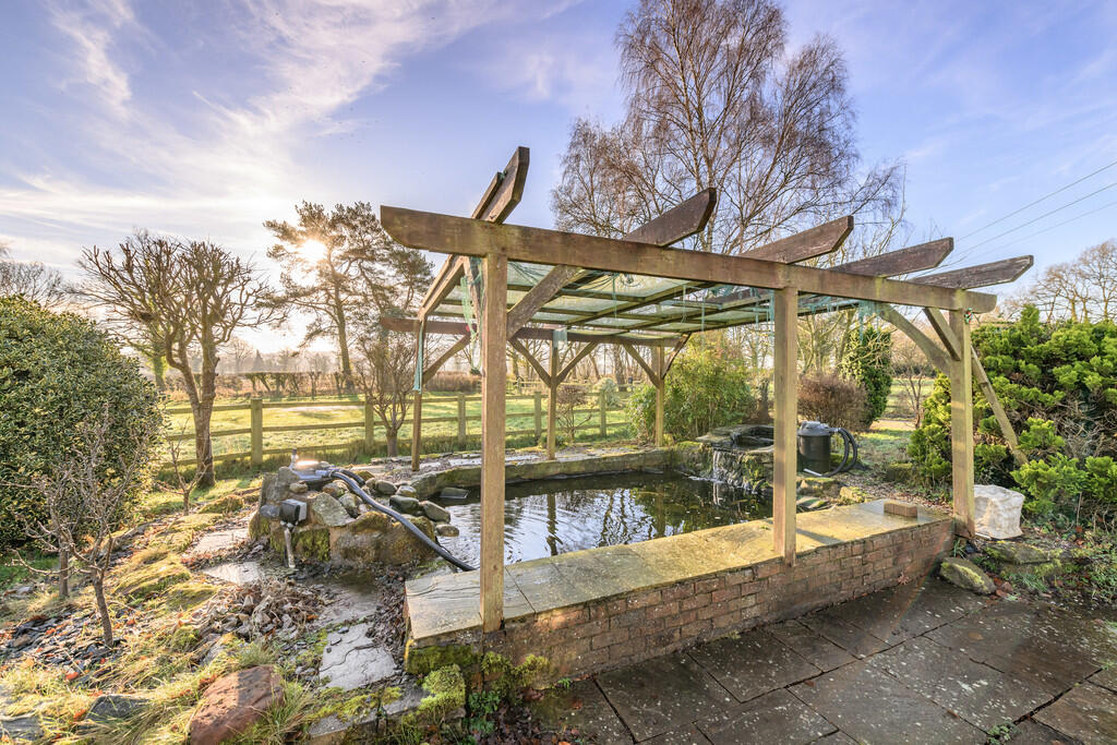Garden Pond