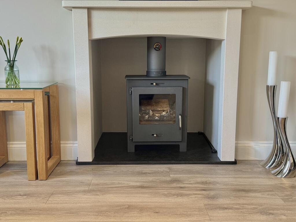 Wood Burning Stove