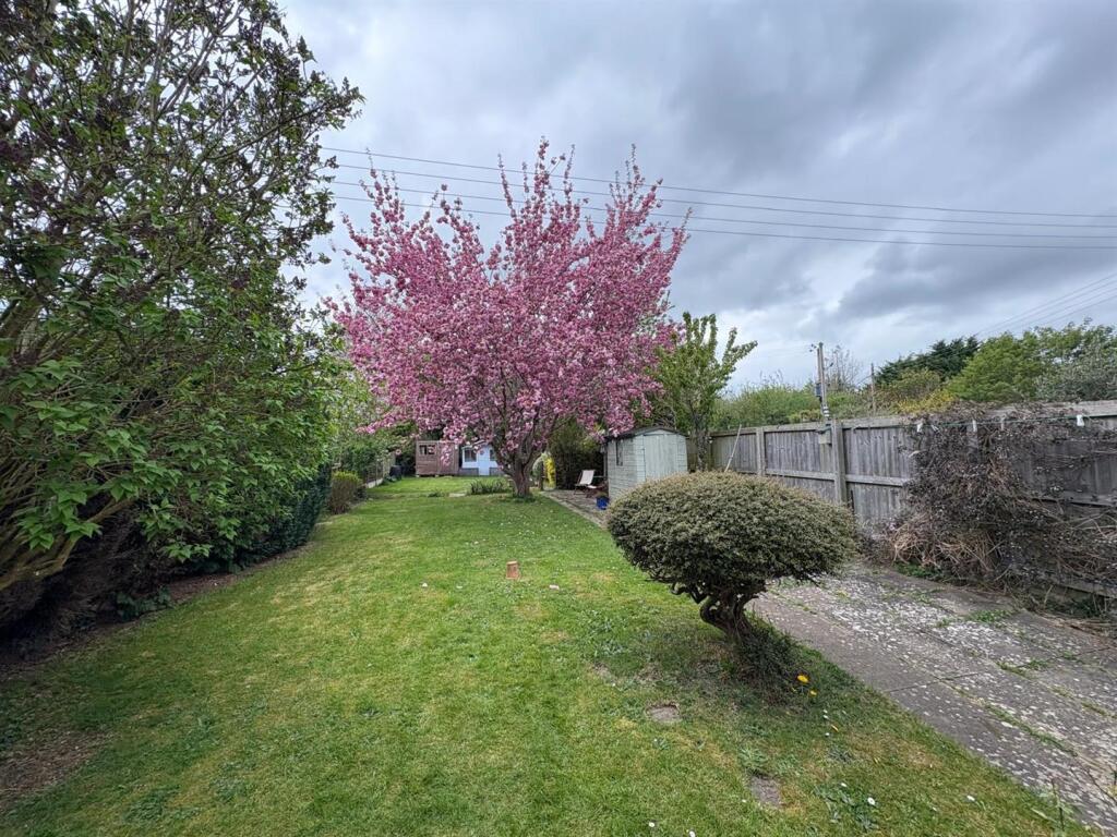 WhatsApp Image 2025-04-15 at 16.39.42_2893ac72.jpg