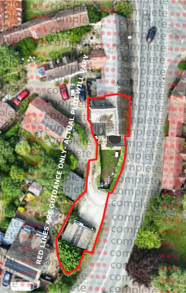 overhead portrait.jpg