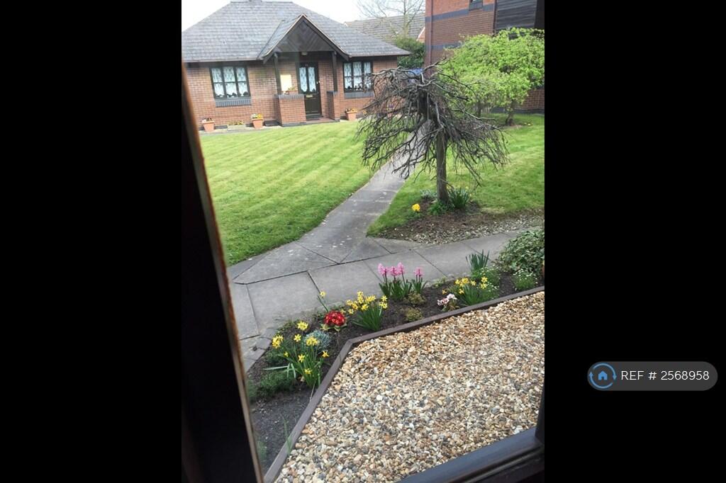 View From Window