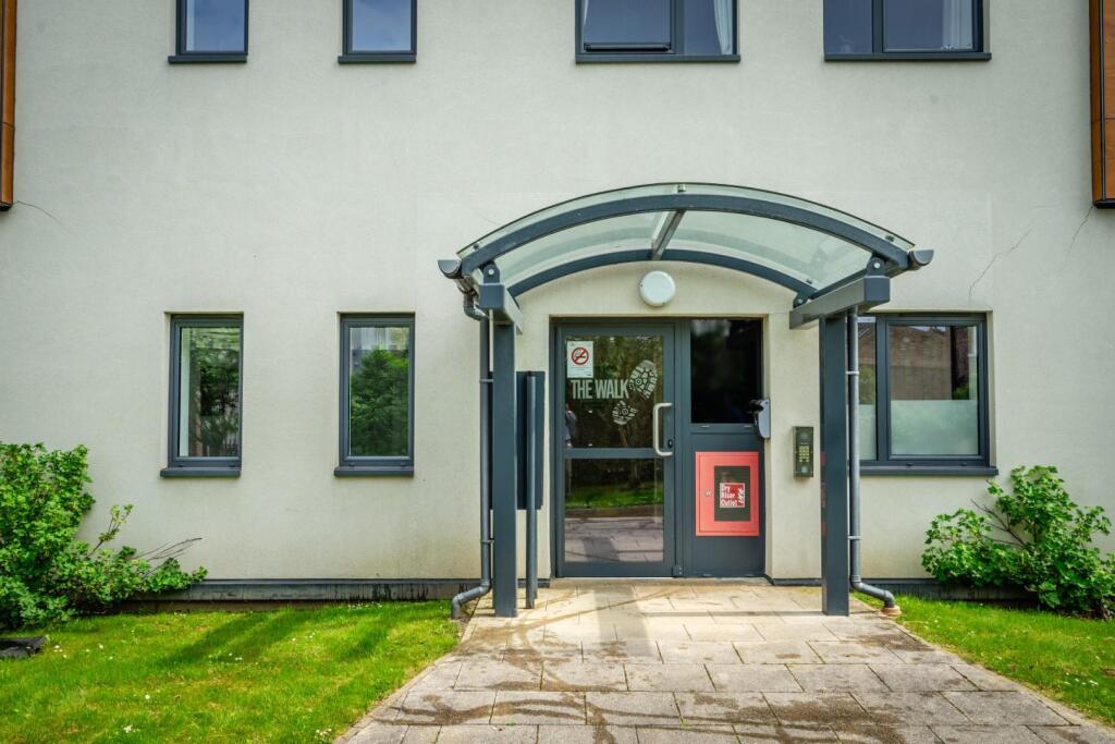 the walk (13 of 14).jpg