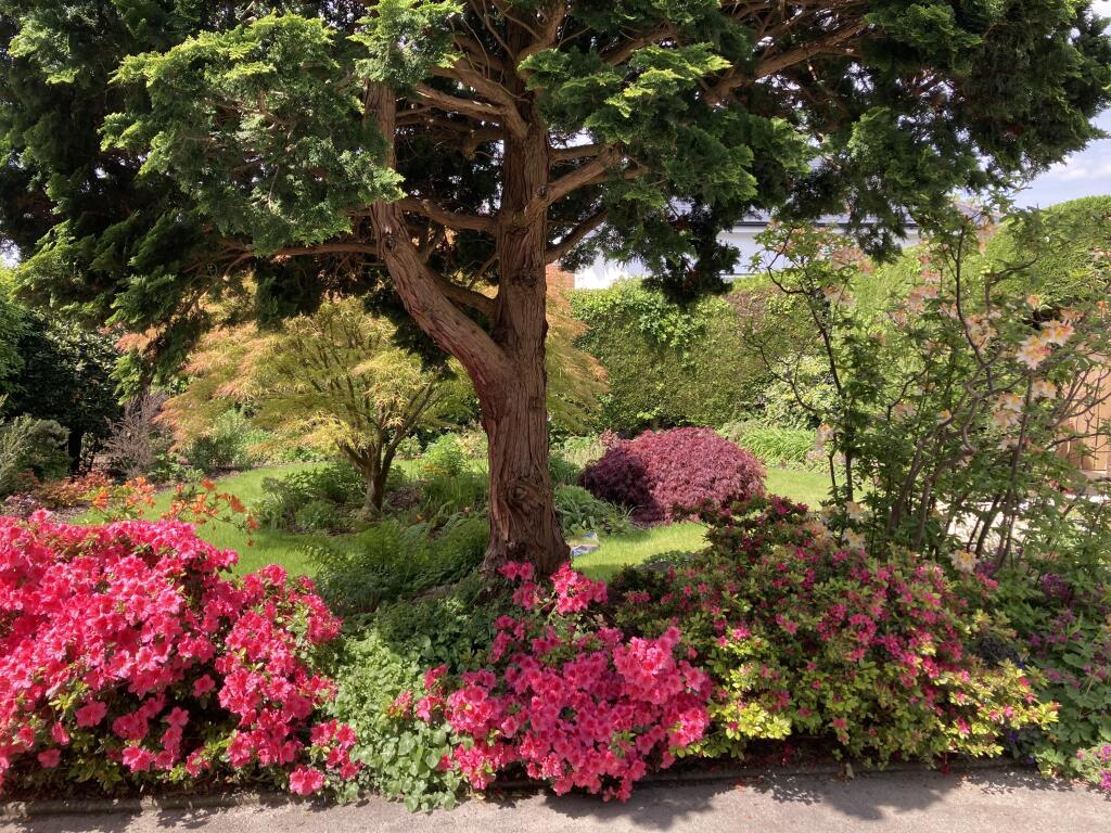 Front Garden (Vendors Photograph)