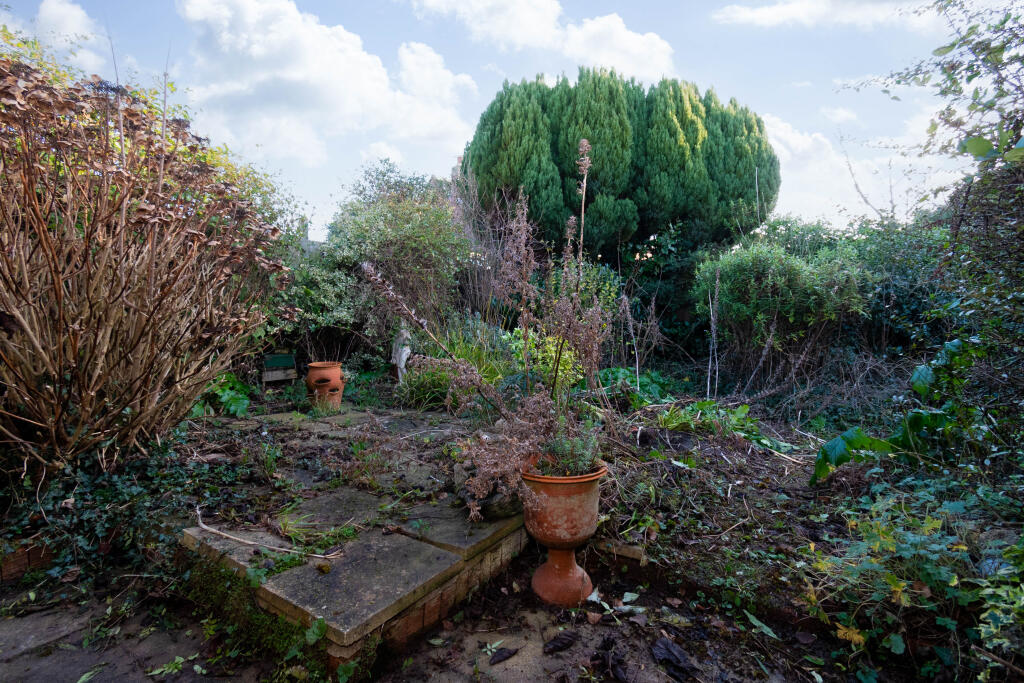 general 11 Greenhill