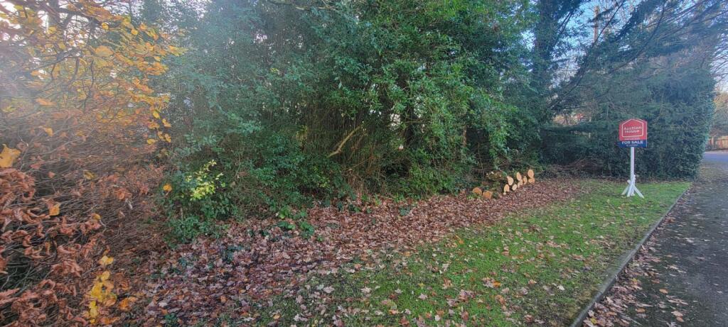 IMG 2275 T202411251523.jpg