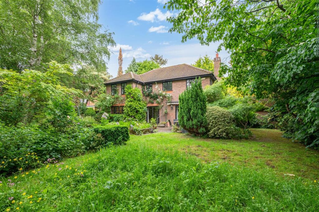 DONNA NOOK- (22).jpg