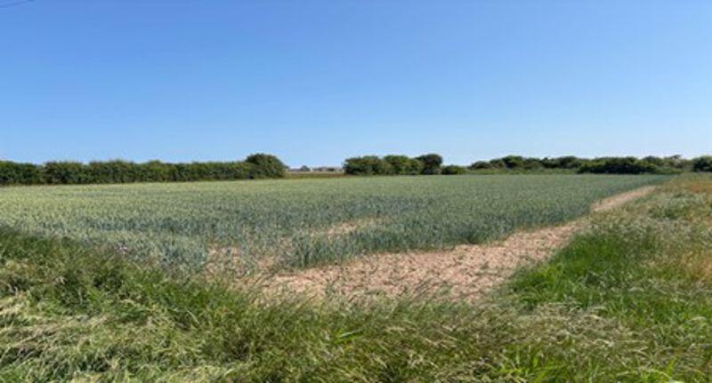 One Acre TO LET, Skegness
