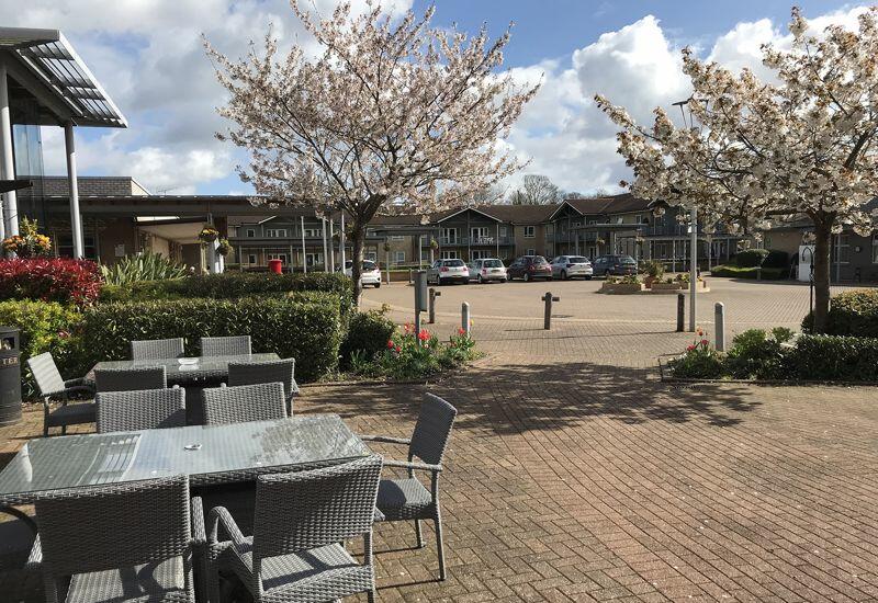 External seating near bar and restaurant