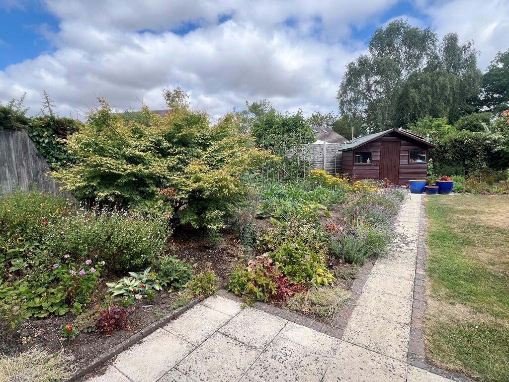 Garden and vegeta...