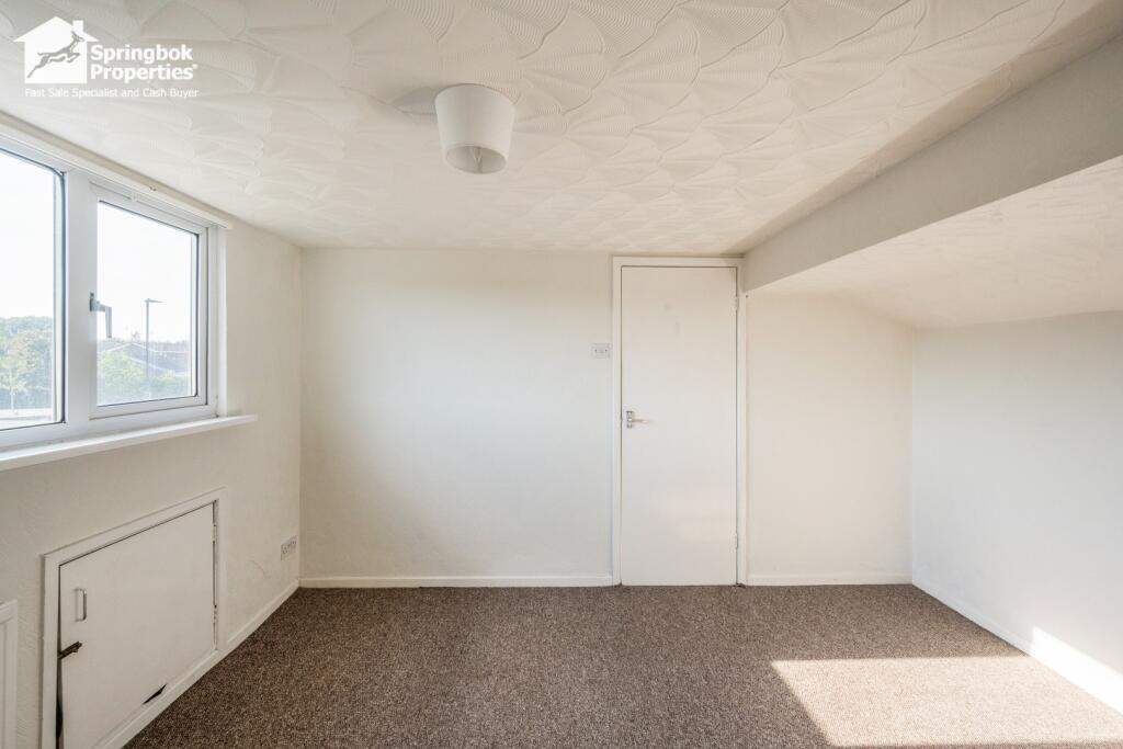 IMAGE 6