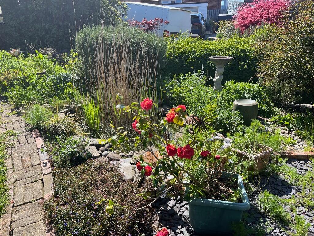 Front garden pond