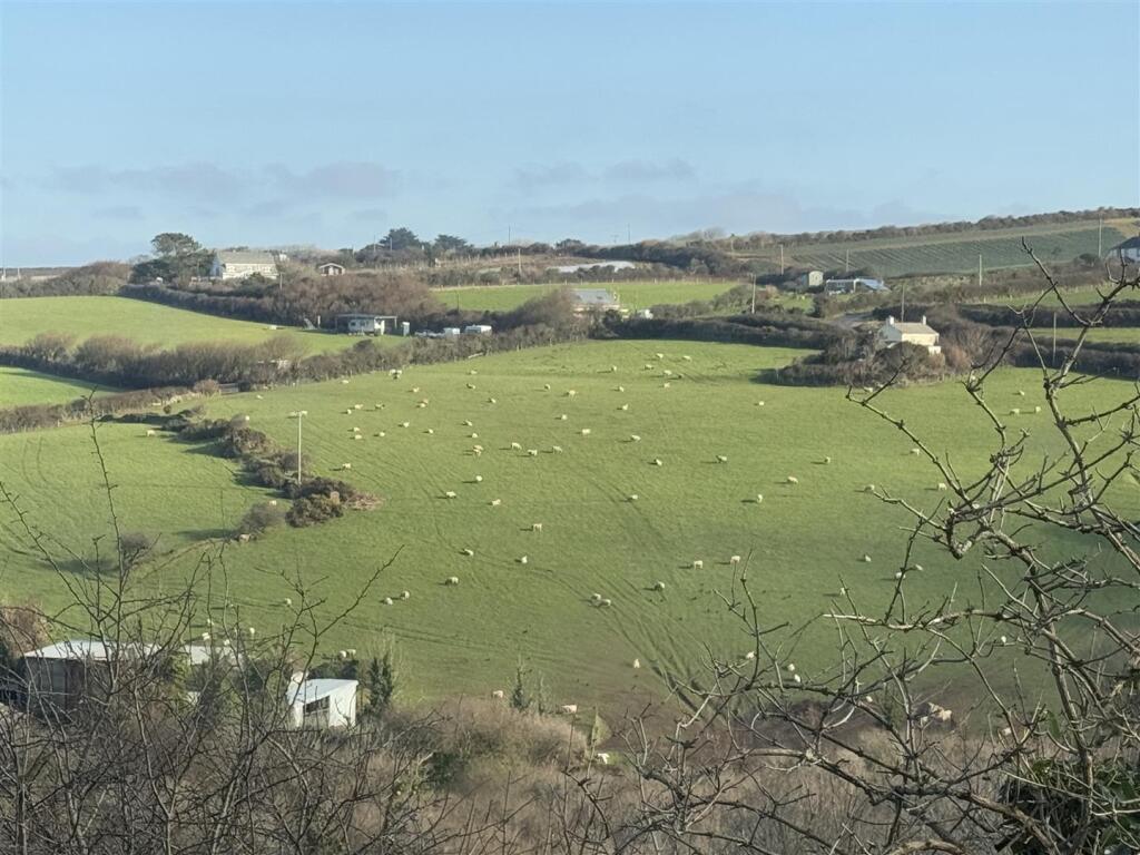 Field Views.jpeg