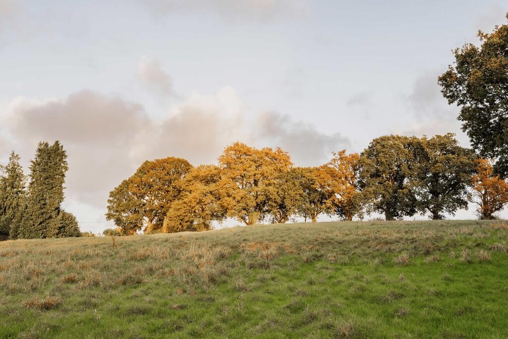 29-The Old Rector...