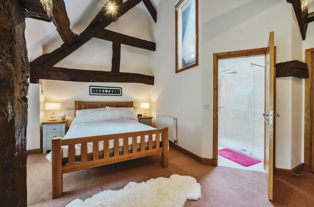 667d3acf20dba-l-1149342 (5)