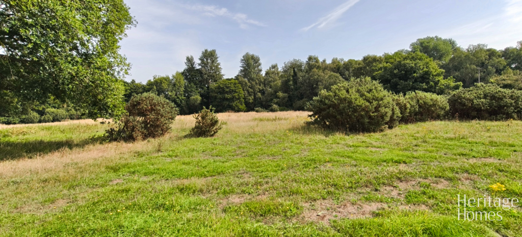 IMG20250813102553-fotor-2025081414857