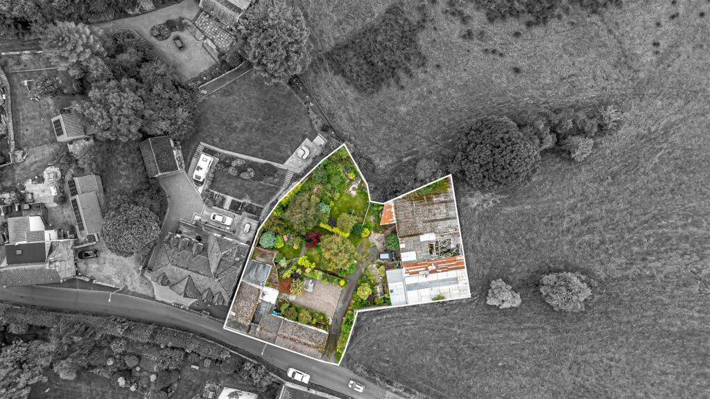 untitled (21 of 1).JPG